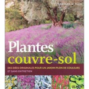 plantes couvre-sol